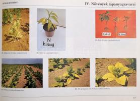 A növények táplálkozási zavarai és betegségei. Szerk.: Dr. Patócs Imre. Bp., 1989, Agroinform. Kiadó...