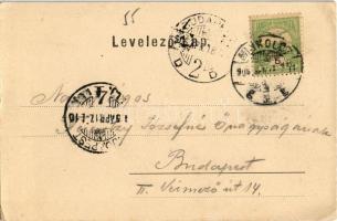 1905 Miskolc, Széchenyi utca, üzletek (EK)