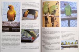 Romhányi Attila: A föld papagájai. Bp.,1995, Dunakönyv. Kiadói kartonált papírkötés.+David Black: Ál...