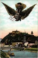 Graz. Gruss aus Garz / little boy riding a bird. montage. Kunstverlag Frank Nr. 675/1. (EK)