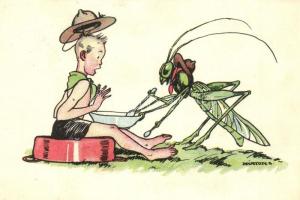 1935 Magyar Cserkészszövetsége kiadása / Hungarian scout art postcard with grasshopper s: Márton L.