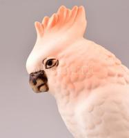Royal dux biszkvit rózsás kakadu, kézzel festett, jelzett, apró kopásokkal, m: 18 cm