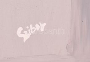 Czibor Ildikó (1969- ): Kőarc, vegyes technika, farost, jelzett, 70×50 cm