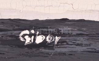 Czibor Ildikó (1969- ): Fehér láng, olaj, farost, jelzett, 50×70 cm