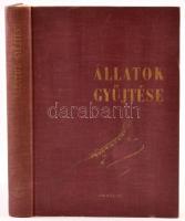 Móczár László: Állatok gyűjtése. Bp., 1962. Gondolat. Kiadói egészvászon kötésben.