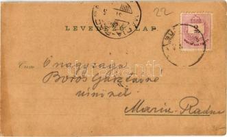 1897 (Vorläufer!!!) Buziásfürdő, Buziás, Baile Buzias; Gyógyterem, Mihály forrás, Meleg fürdő, bazár...