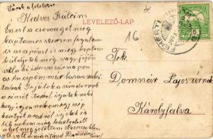 1908 Fehértemplom, Ung. Weisskirchen, Bela Crkva; Vásár utca, Bauer, Nikolaus Stojanovics üzlete. W....