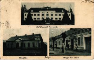 Sellye, Gróf Draskovich Iván kastélya, községháza, Hangya szövetkezet üzlete, fahasábokkal kitámasztott fa