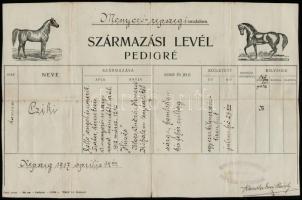 1917 Monyoró-rajszegi uradalom származási levél / pedigré lónak
