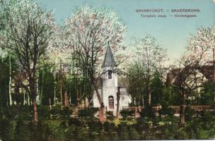 Savanyukút - Sauerbrunn