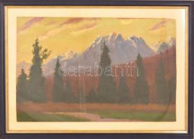 Katona Nándor (1864-1932): Felvidéki / Tátrai táj. Olaj, falemez,  jelzett, 32x48 cm üvegezett keret...