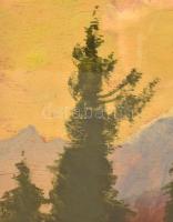 Katona Nándor (1864-1932): Felvidéki / Tátrai táj. Olaj, falemez,  jelzett, 32x48 cm üvegezett keret...