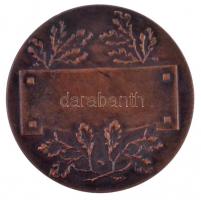 1945. "Országos Sportnapok" zománcozott Br díjérem (40mm) T:2