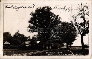 Léva, Levice; Rákóczy fa 1707-105 / Rákoczi tree. photo (EK)