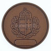 DN "Büntetés-végrehajtási Szolgálatért" Br emlékérem (65mm) T:2