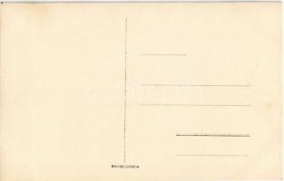 Rozsnyó, Roznava; bányatelep a vasúttal / mine colony with railway. Bromografia photo