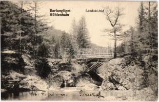 1906 Tátra, Tatry; Barlangliget, Höhlenhain, Tatranská Kotlina; Landoki híd. Britz Berta felvételi tulajdona / bridge