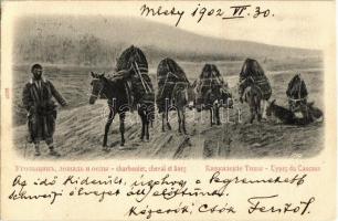 1902 Caucasus, Types du Caucase, Charbonier, Cheval et Anes / Caucasian folklore, horses and donkeys (EK)