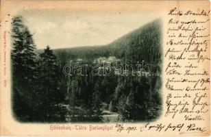 1901 Tátra, Tatry; Barlangliget, Höhlenhain, Tatranská Kotlina;