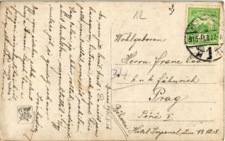 1903 Detta, Ghedu, Deta; Fő utca, híd, piac tér és tűzoltótorony. Kiadja Csokány / main street, brid...