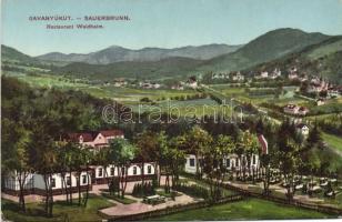 Savanyukút - Sauerbrunn