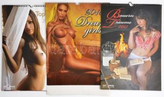 25 db különféle pornómagazin + 4 db akt naptár