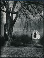 cca 1976 Gebhardt György (1910-1993) aláírt, cím nélküli vintage fotóművészeti alkotása, 24x18 cm + ...