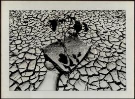 cca 1976 Pataki Zoltán szegedi fotóművész feliratozott, vintage fotóművészeti alkotása, a magyar fotográfia avantgarde korszakából, kasírozva, 29x39 cm