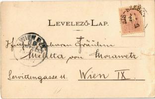 1899 Kisszeben, Zeben, Sabinov; Fő utca, Római katolikus templom. Kiadja Stehr Gusztáv / main street...