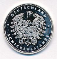 Németország 2007. "Claus Graf Schenk von Stauffenberg 1907" fém emlékérem T:PP ujjlenyomat...