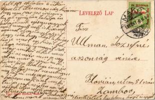 1915 Makó, Erzsébet árvaház. floral, Vészi Dezső kiadása