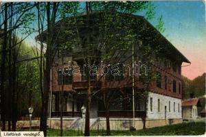 1913 Lillafüred, vendéglő (fa)