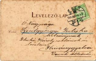 1911 Besztercebánya, Banská Bystrica; látkép. Kiadja Ivánszky Elek 7244. / general view (fl)