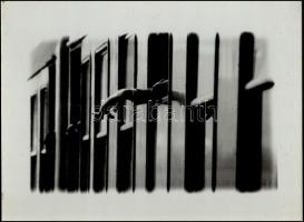 cca 1979 Bozsoki Csaba: Cím nélkül, feliratozott, vintage fotóművészeti alkotás, a magyar fotográfia avantgarde korszakából, kasírozva, 30x40 cm