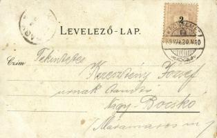 1899 Kecskemét, színház, nagytemplom, új városháza, Katona József mellszobra. Steiner Mihály kiadása...