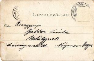 1901 Pozsony, Pressburg, Bratislava; Aupark / Ligeti díszkert. Ottmar Zieher / park, garden (szakadá...