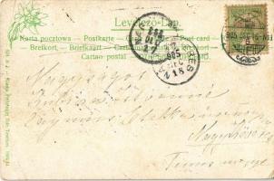 1905 Zsolna, Sillein, Zilina; látkép a Vágnál dél felé. Kiadja Feitzinger Ede 1904/14. / Waag geg. S...