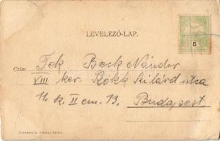 Nyitra, Nitra; Püspöki vár. Kiadja Schwarcz A. / bishop's castle (EB)