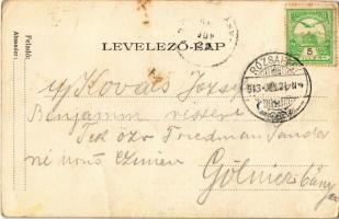 1913 Rózsahegy, Ruzomberok; Willinger telep, villák, nyaralók / villas (lyuk / hole)