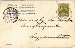 1904 Cseszte, Schattmannsdorf, Castá; látkép Vöröskő felé, templom, nyaraló, utcakép / general view ...