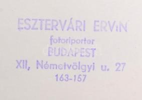 cca 1960-1970 Esztervári Ervin (?-?) fotóriporter 20 db a hátoldalán pecséttel jelzett fotója, közte...