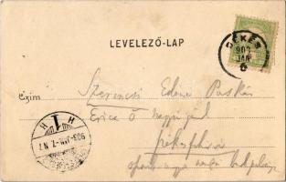 1903 Gyula, Városház utca, takarékpénztár. Dobay János kiadása és tulajdona