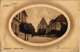 1913 Kolozsvár, Cluj; Farkas utca. Rigó Árpád utóda kiadása / street (EK)