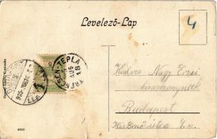 1905 Trencsén, Trencín; vár, faúsztatás tutajokon, híd. Kiadja Gansel Lipót / Trenciansky hrad / cas...