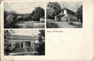 Sepsikőröspatak, Valea Crisului; Kálnoky kastély / castle (EM)