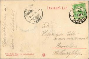 1910 Szatmárnémeti, Szatmár, Satu Mare; Városi színház / theatre