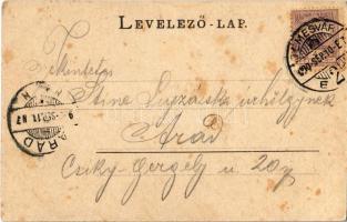 1900 Temesvár, Timisoara; Józsefvárosi takarékpénztár, Párisi Nagyáruház / Iosefin, savings bank, sh...