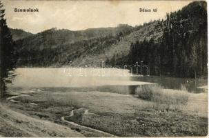1917 Szomolnok, Schmölnitz, Smolník; Dénes tó / lake (fa)
