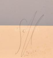 Olvashatatlan jelzéssel: Női akt, szitanyomat, üvegezett fa keretben, 37×27 cm