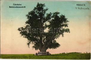 1914 Balatonkenese, Rákóczi fa. Rosenthal Dávid kiadása